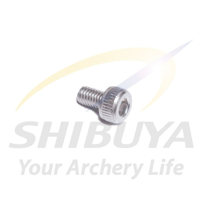 SHIBUYA SX-10 M3×5キャップネジ